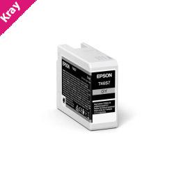 Epson 46S Grey Ink Cart Epson 46S Grey Ink Cart